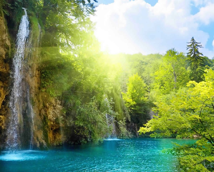 Bright trees, pond, waterfall